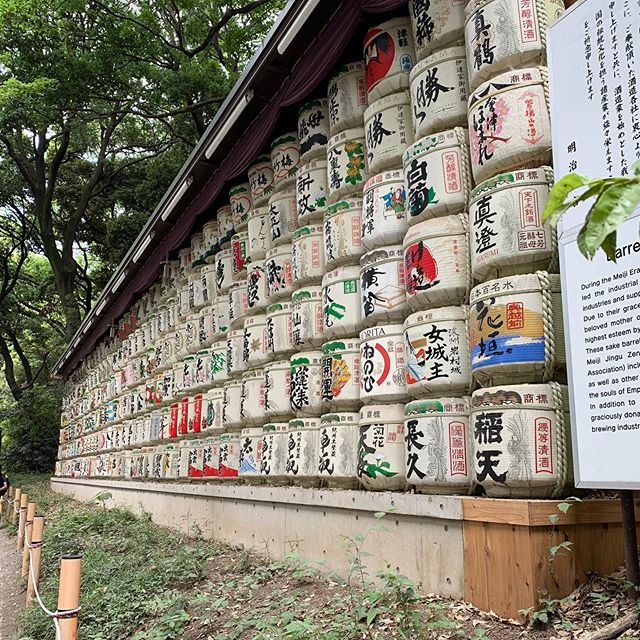 If you&rsquo;ve ever thought about going to Japan, just go. It is one of the most amazing places, filled with beautiful juxtaposition. Technology and tradition. Urban cities within lush landscapes. Formal yet welcoming. Unbelievable street food and s