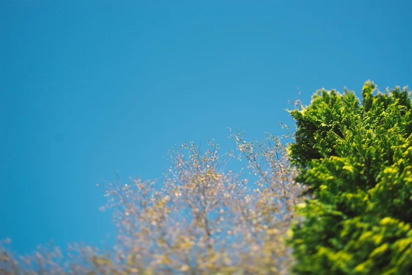 027_20131011_hebr_0196.jpg