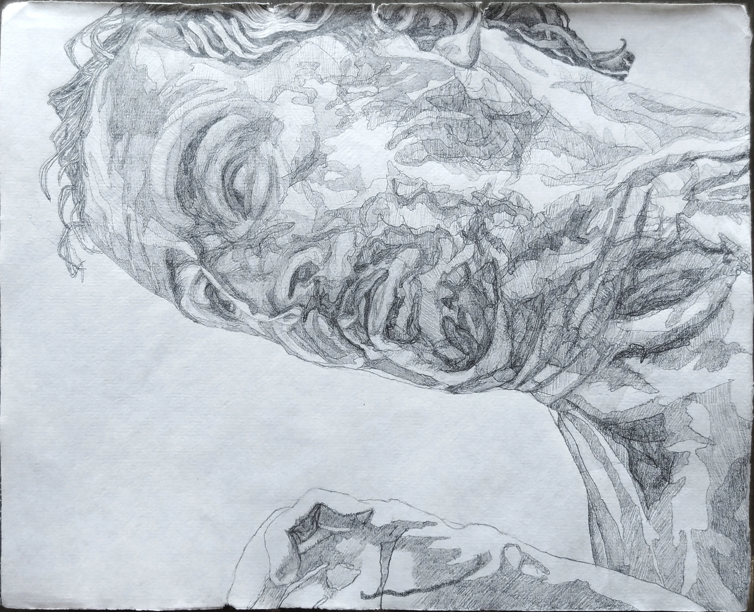 Self Portrait 13