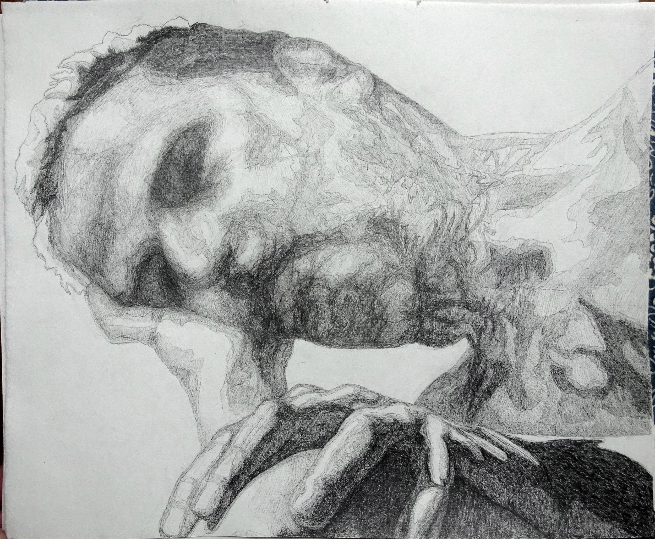 Self Portrait 25