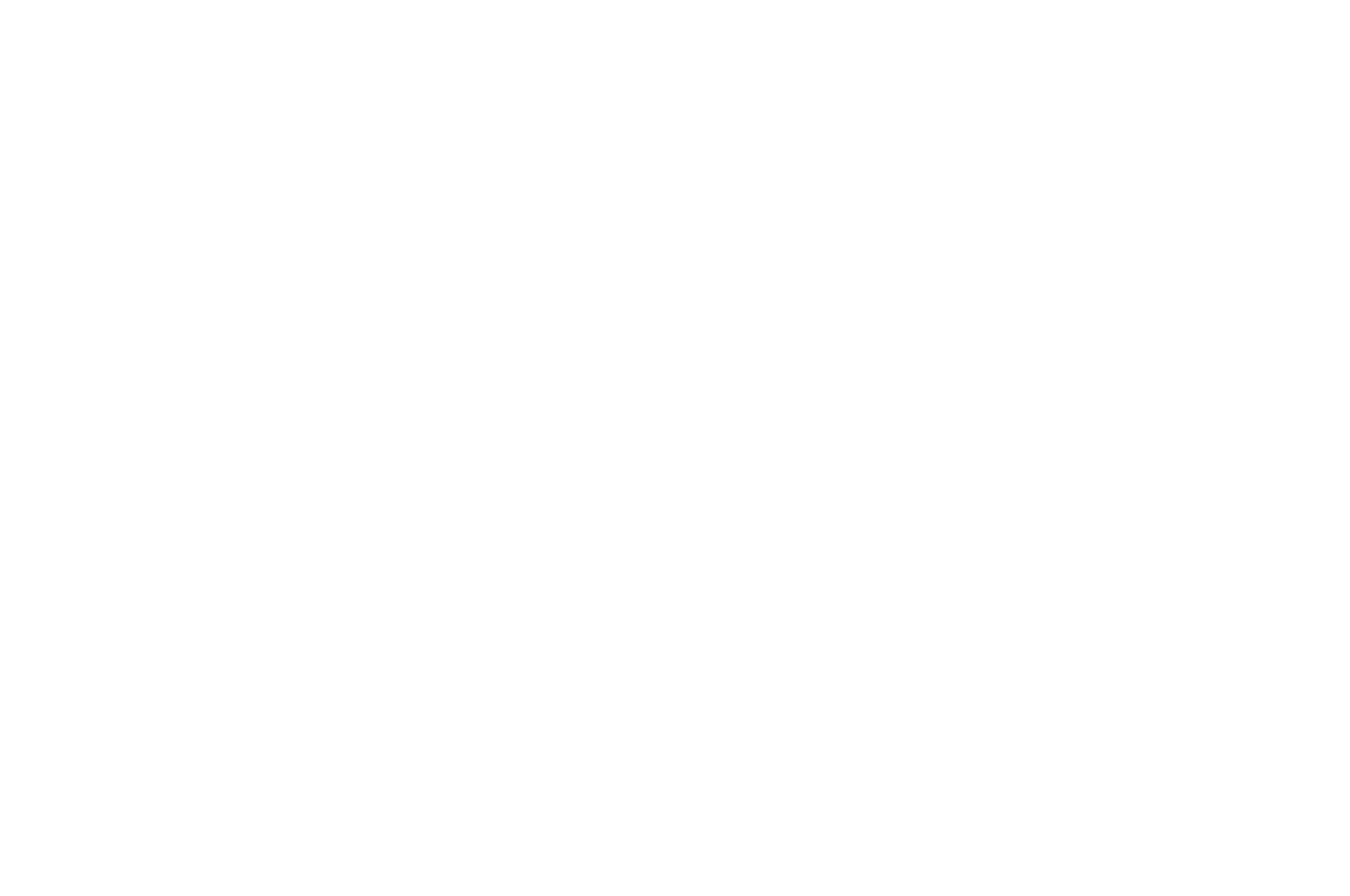 OFFICIAL SELECTION - Canadian Film Fest - 2017-OnBlack.png