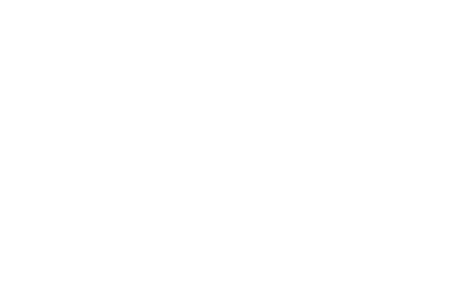 FINALIST - WorldFest-Houston International Film Festival - 2021.png
