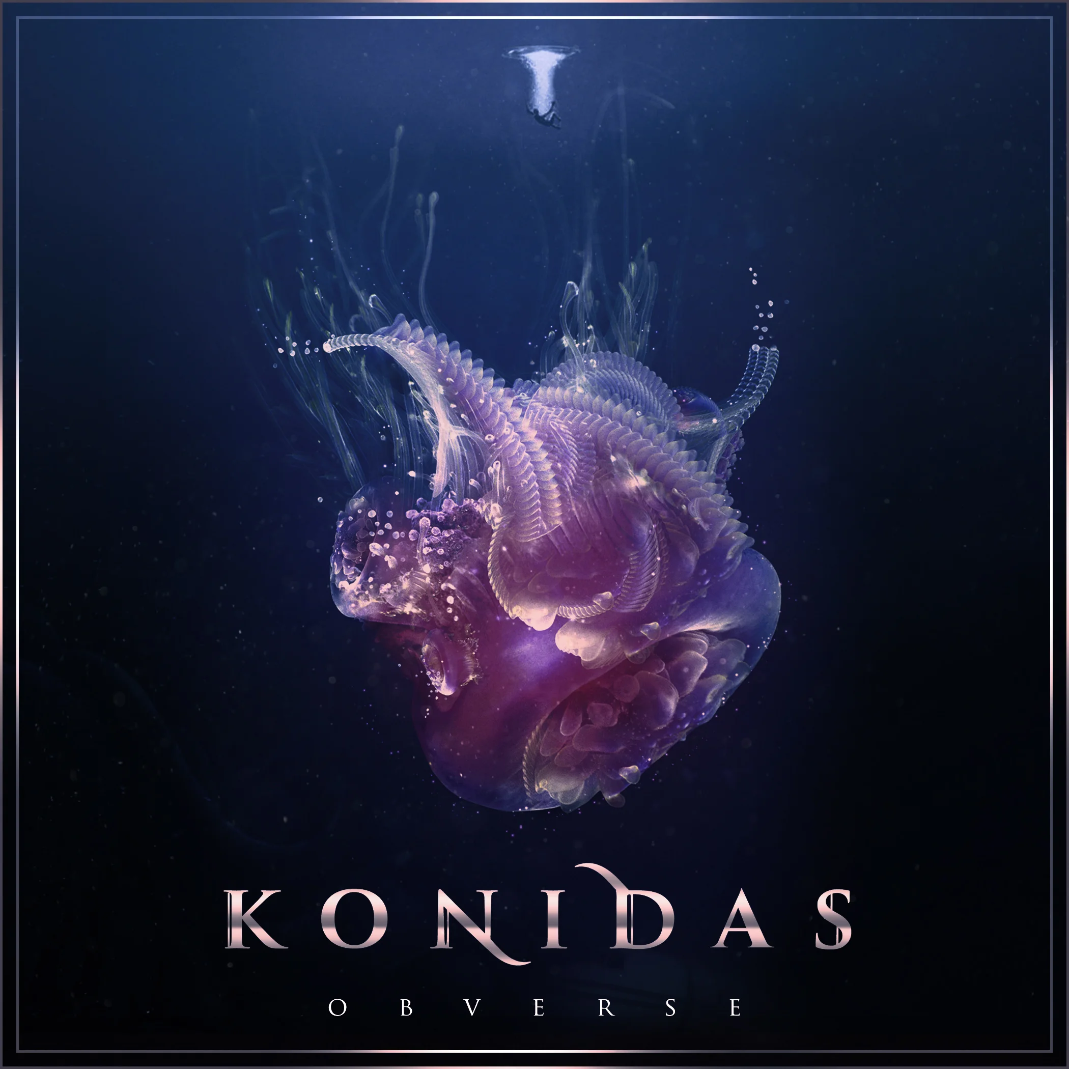 konidasalbumcover.jpg