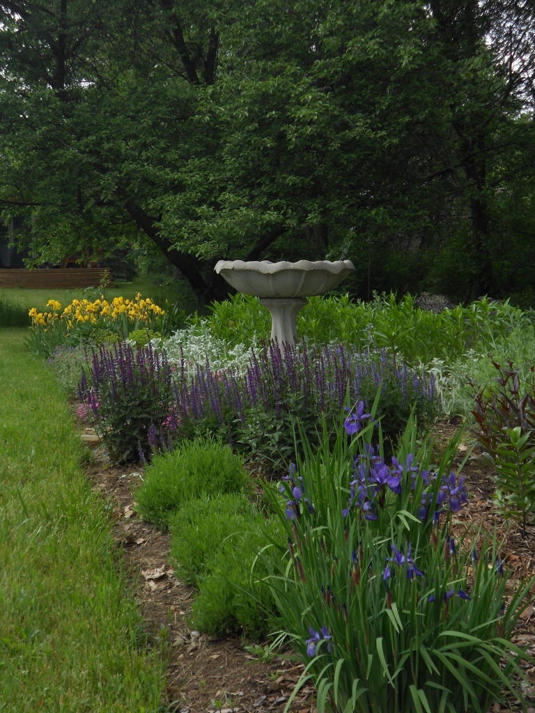 My Gardens in Springtime
