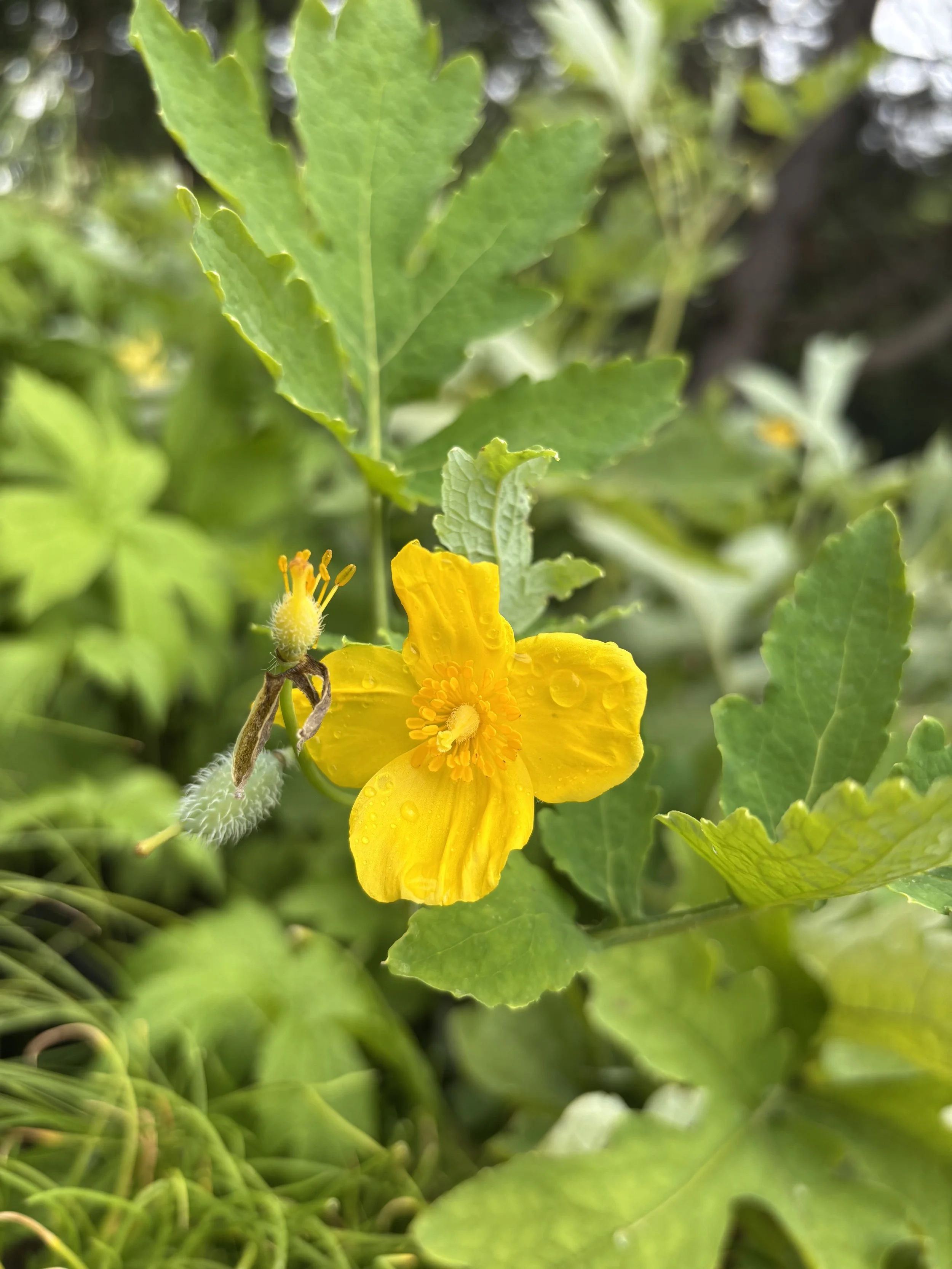 IMG_3189.jpeg