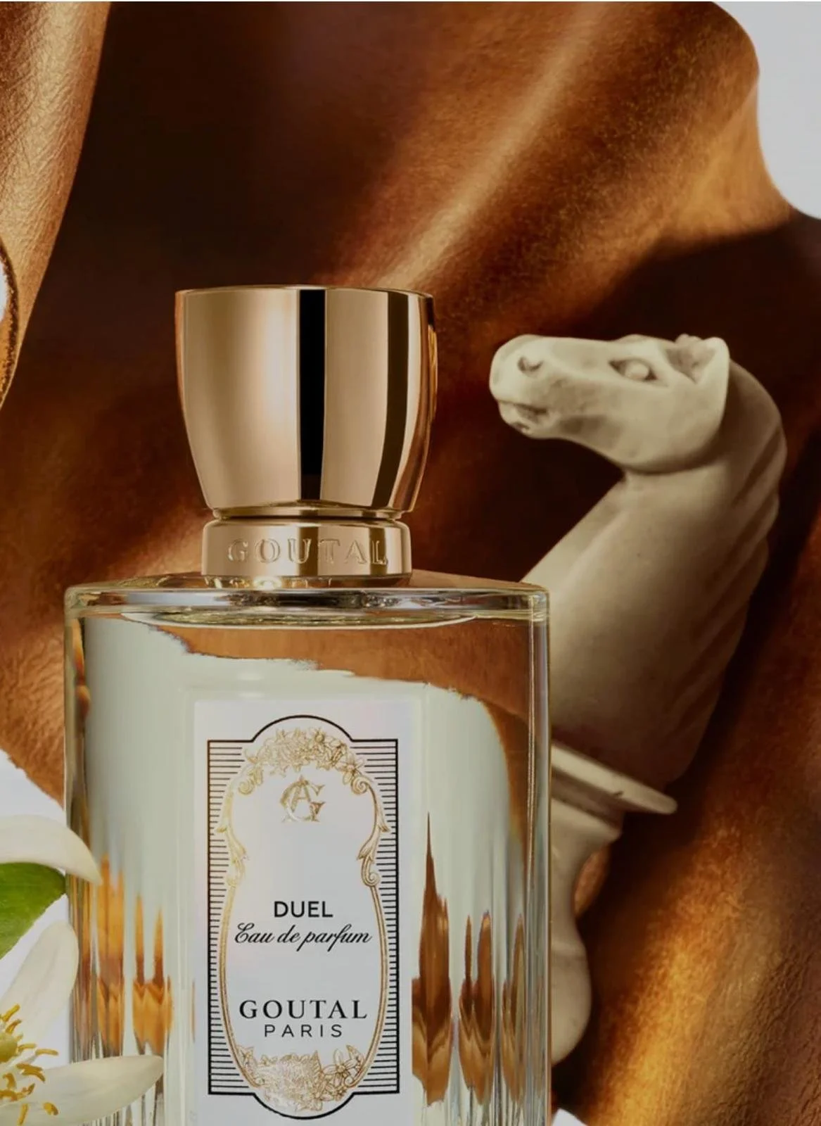 WhatsApp Image 2026-03-11 at 10.15.28 (4).jpeg