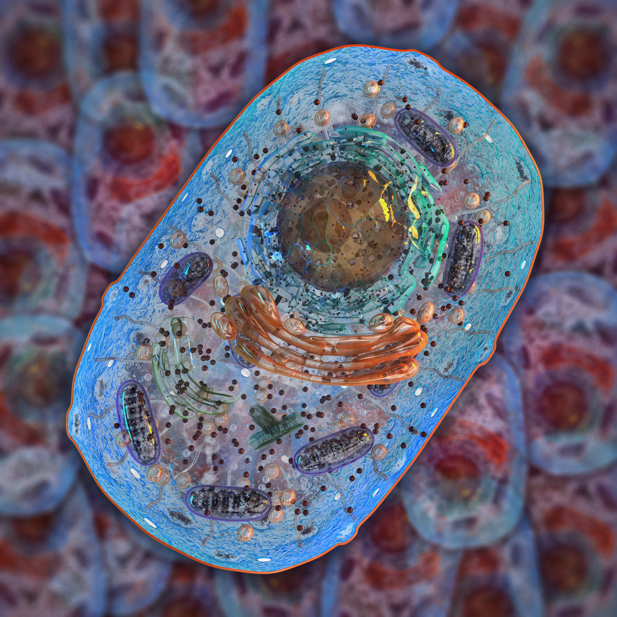 Healthy mitochondria are key to cellular energy