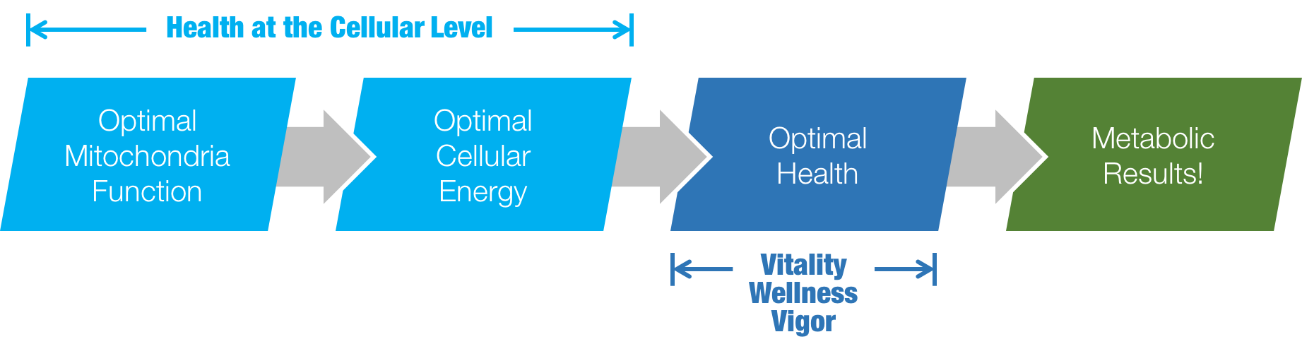 HB_Flow_diagram_v1.png