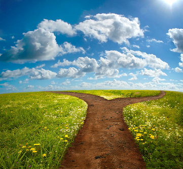 Diverging-Path-Choices.jpeg