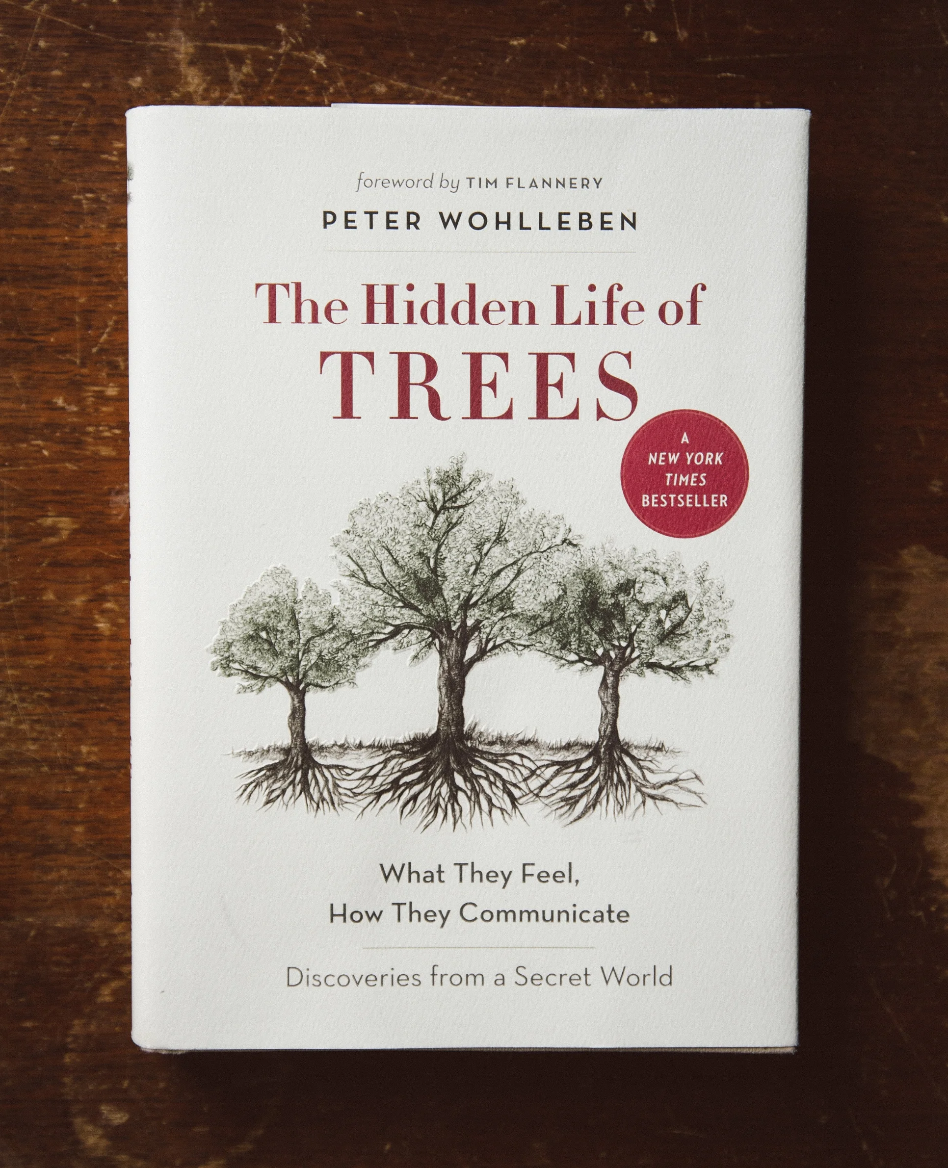 WR&Co_Bookshelf-8.jpg