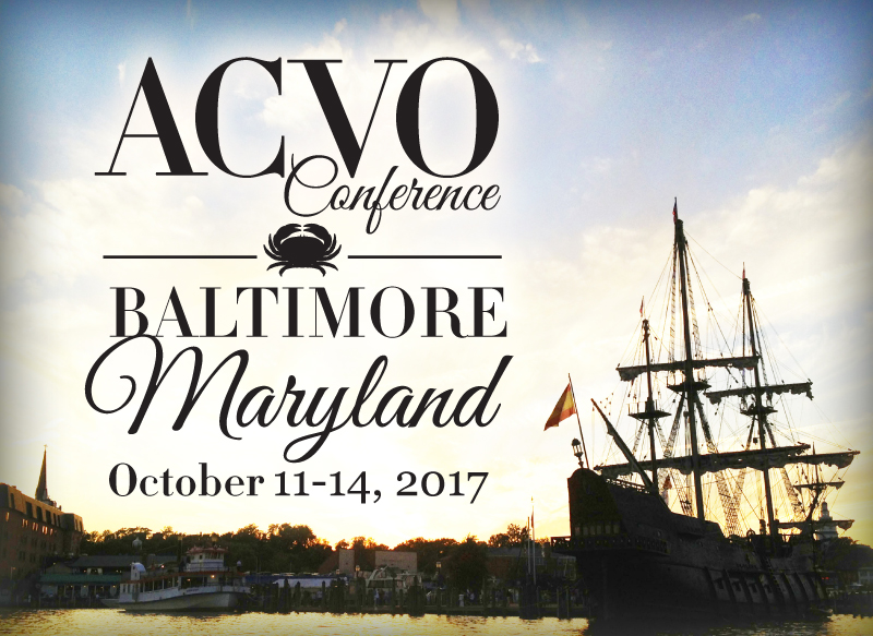 ACVO-Conference-800x583-201.jpg