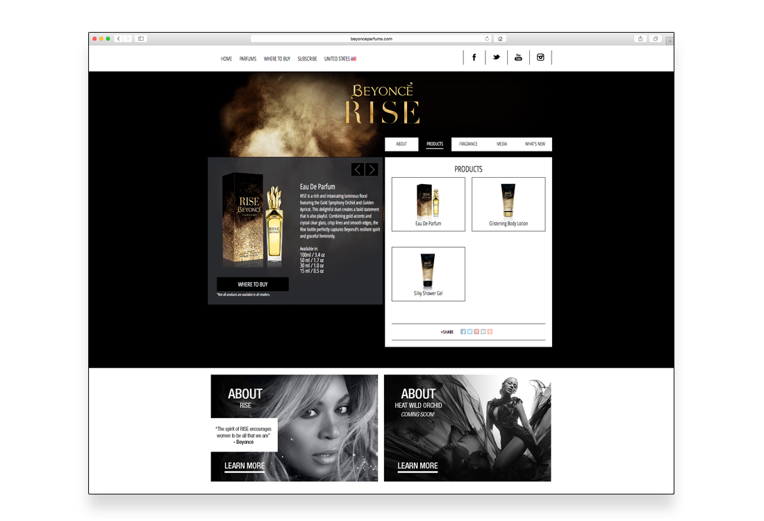 SCR09_Beyonce_03.png