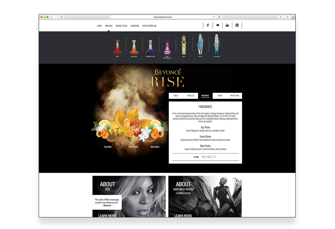 SCR09_Beyonce_05.png