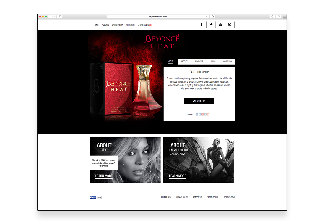 SCR09_Beyonce_07.png