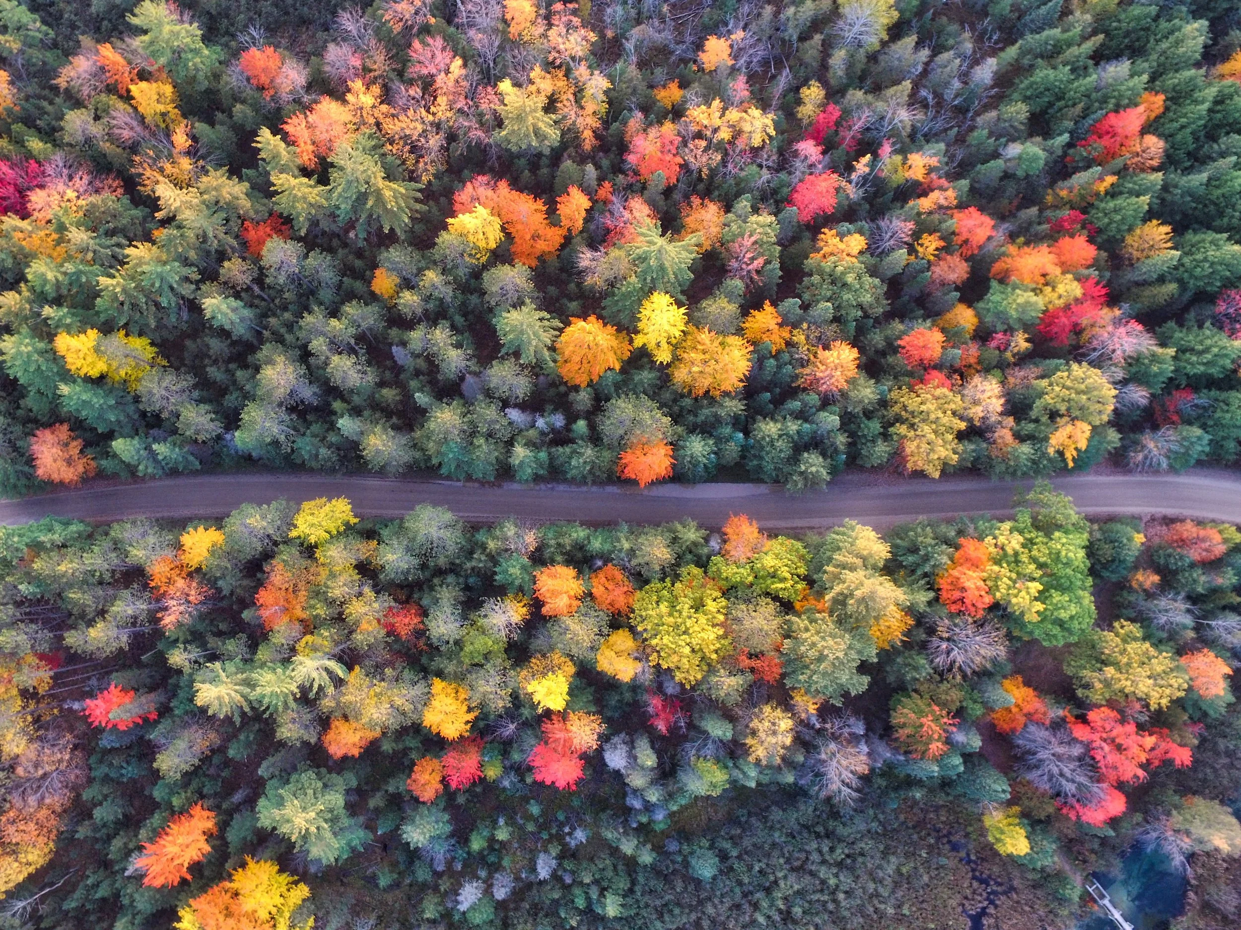 Creating a Roadmap