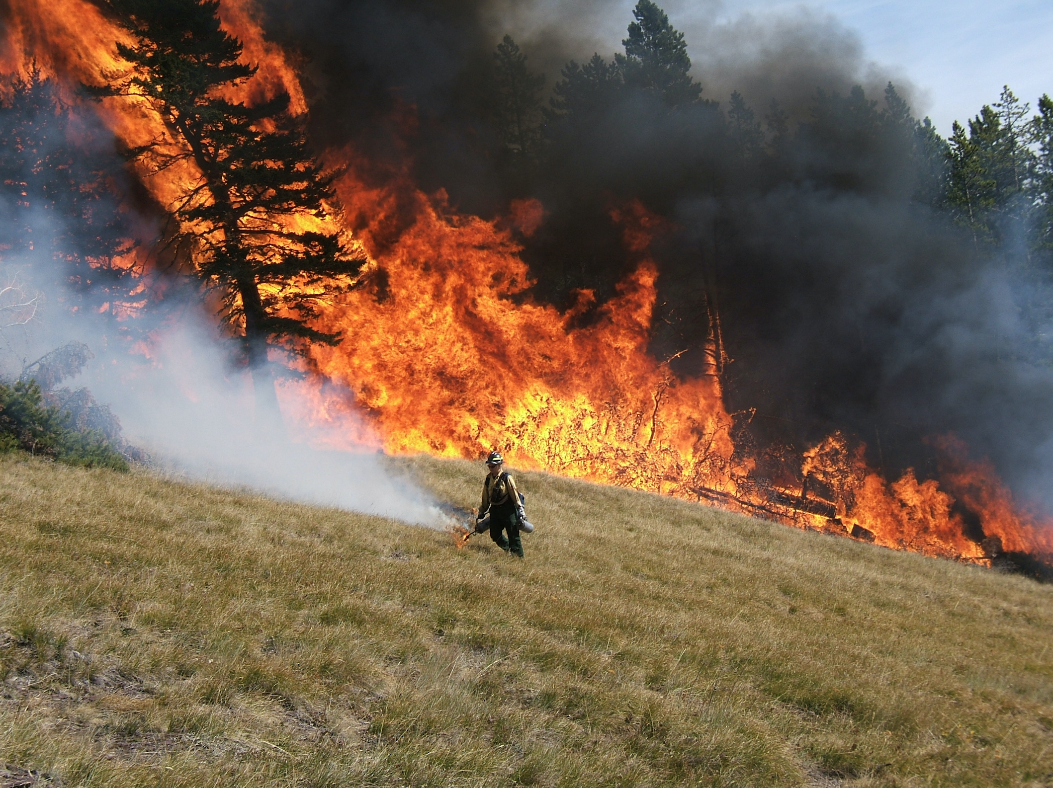 Alice Creek prescribed burn on the Lincoln Ranger District.