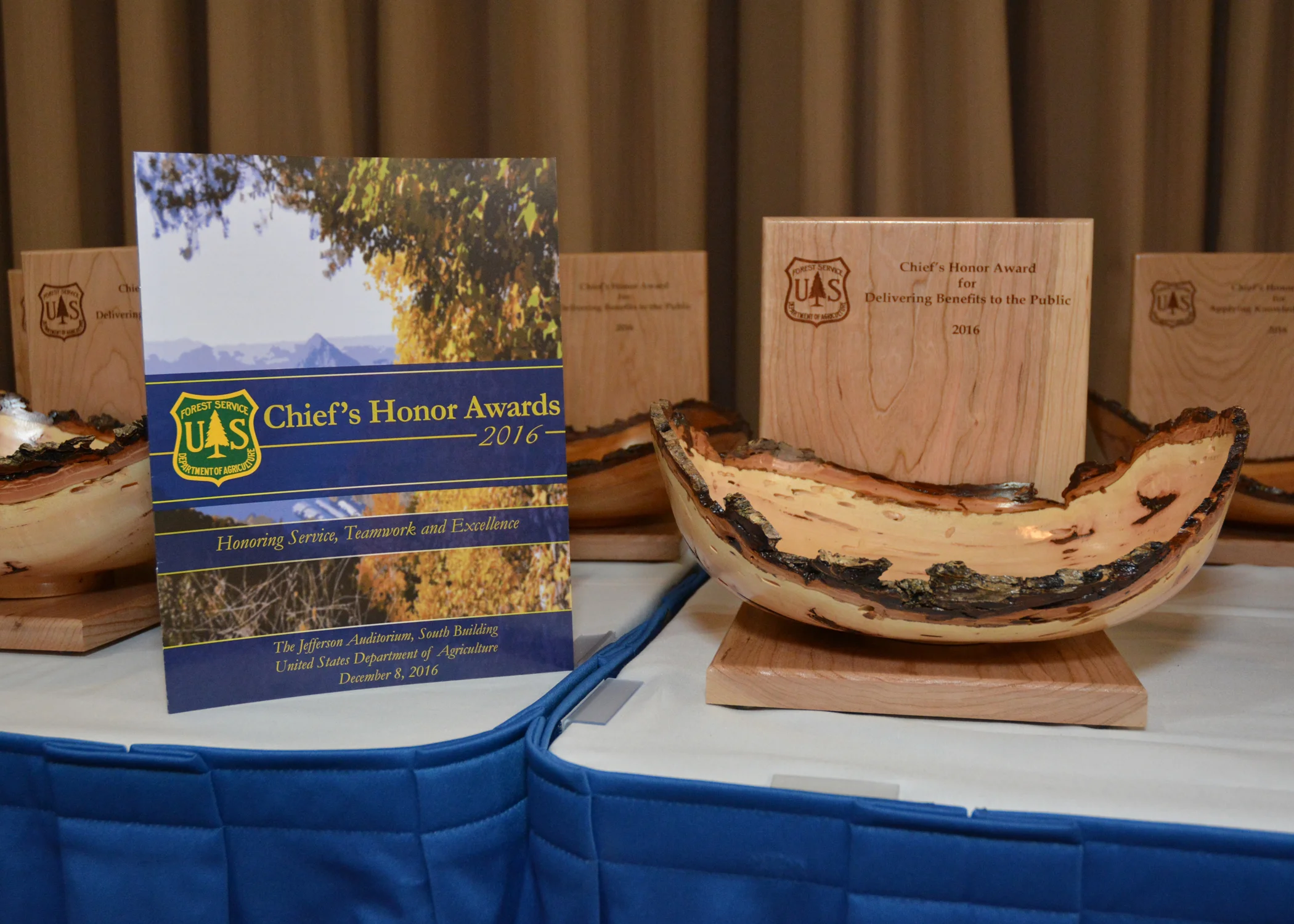 Forest Service Chief's Award