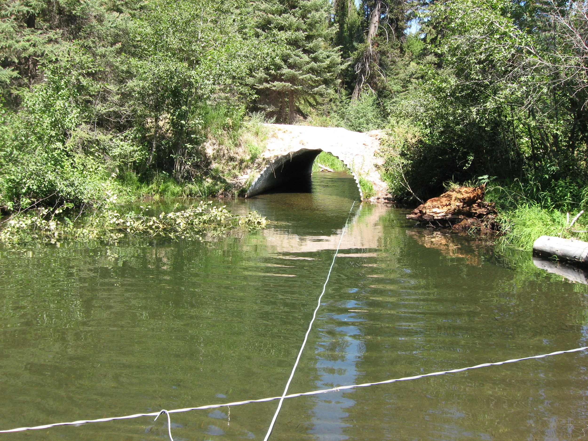 Old culvert, prior to replacement.