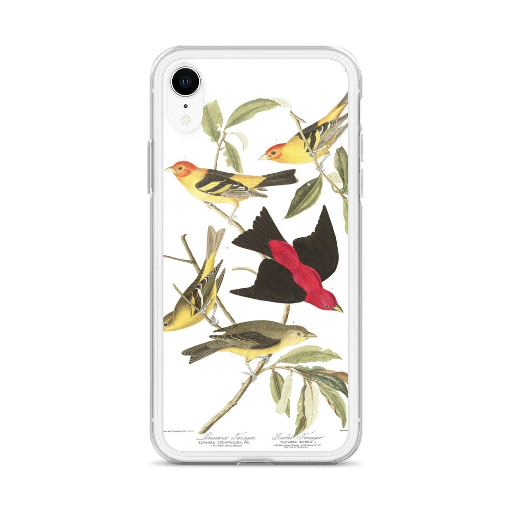 Louisiana--Scarlet-Tanager,-The-Birds-of-America,-iPhone-Case_mockup_Case-on-phone_Default_white_iPhone-XR.jpg