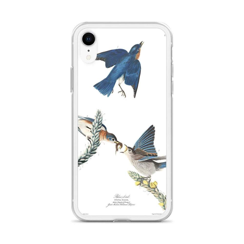 Eastern-Bluebird,-The-Birds-of-America,-iPhone-Case_mockup_Case-on-phone_Default_white_iPhone-XR.jpg