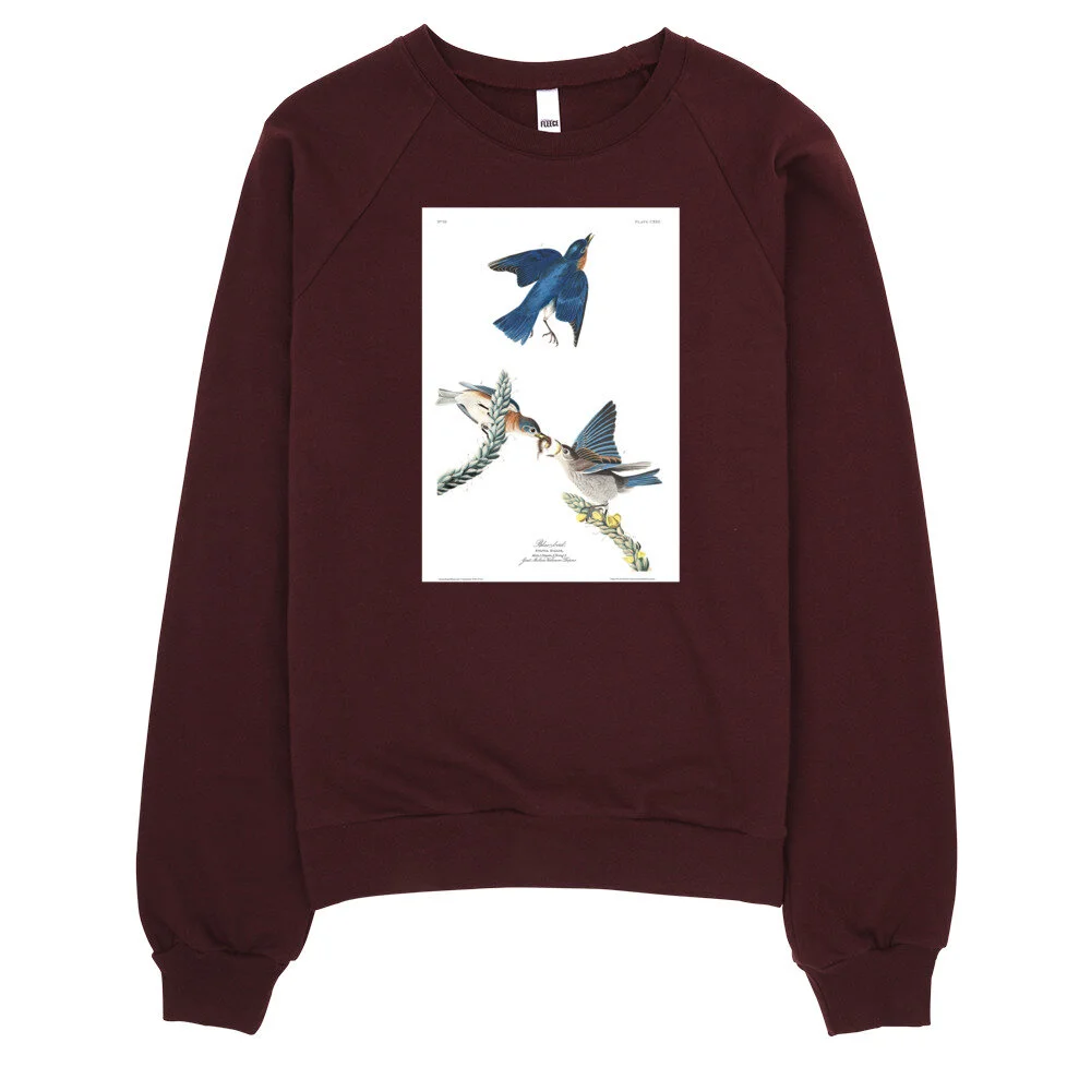 Eastern-Bluebird,-The-Birds-of-America,-Sweatshirt_mockup_Front_Real-life_Truffle.jpg