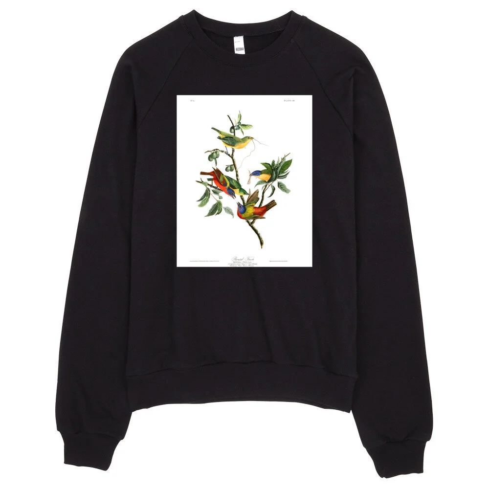 Painted-Bunting-The-Birds-of-America,-Sweatshirt_mockup_Front_Real-life_Black.jpg