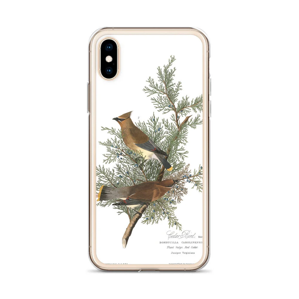 Cedar-Waxwing-The-Birds-of-America,-iPhone-Case_mockup_Case-on-phone_Default_gold_iPhone-XXS.jpg