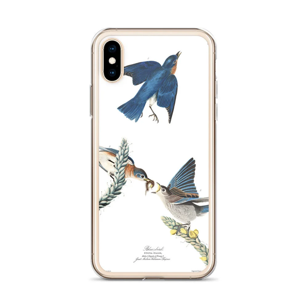 Eastern-Bluebird,-The-Birds-of-America,-iPhone-Case_mockup_Case-on-phone_Default_gold_iPhone-XXS.jpg