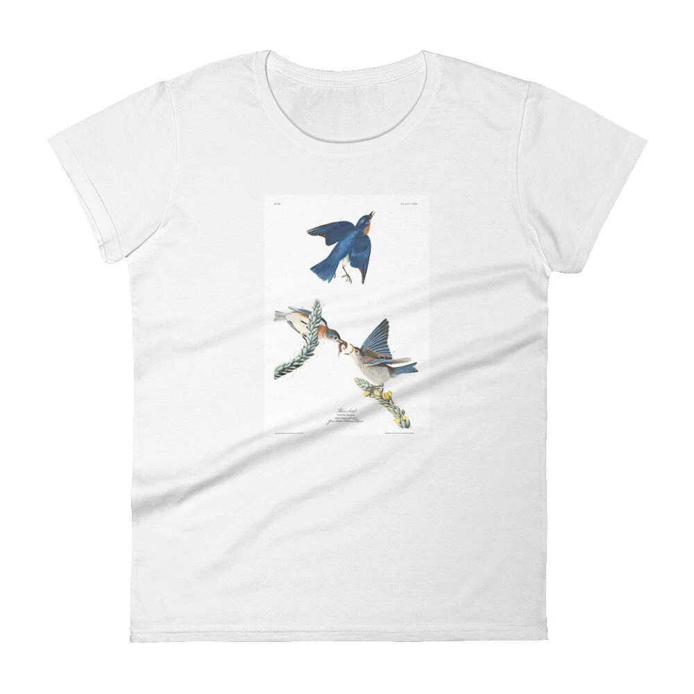 Bluebird Women's T-Shirt: Click for More