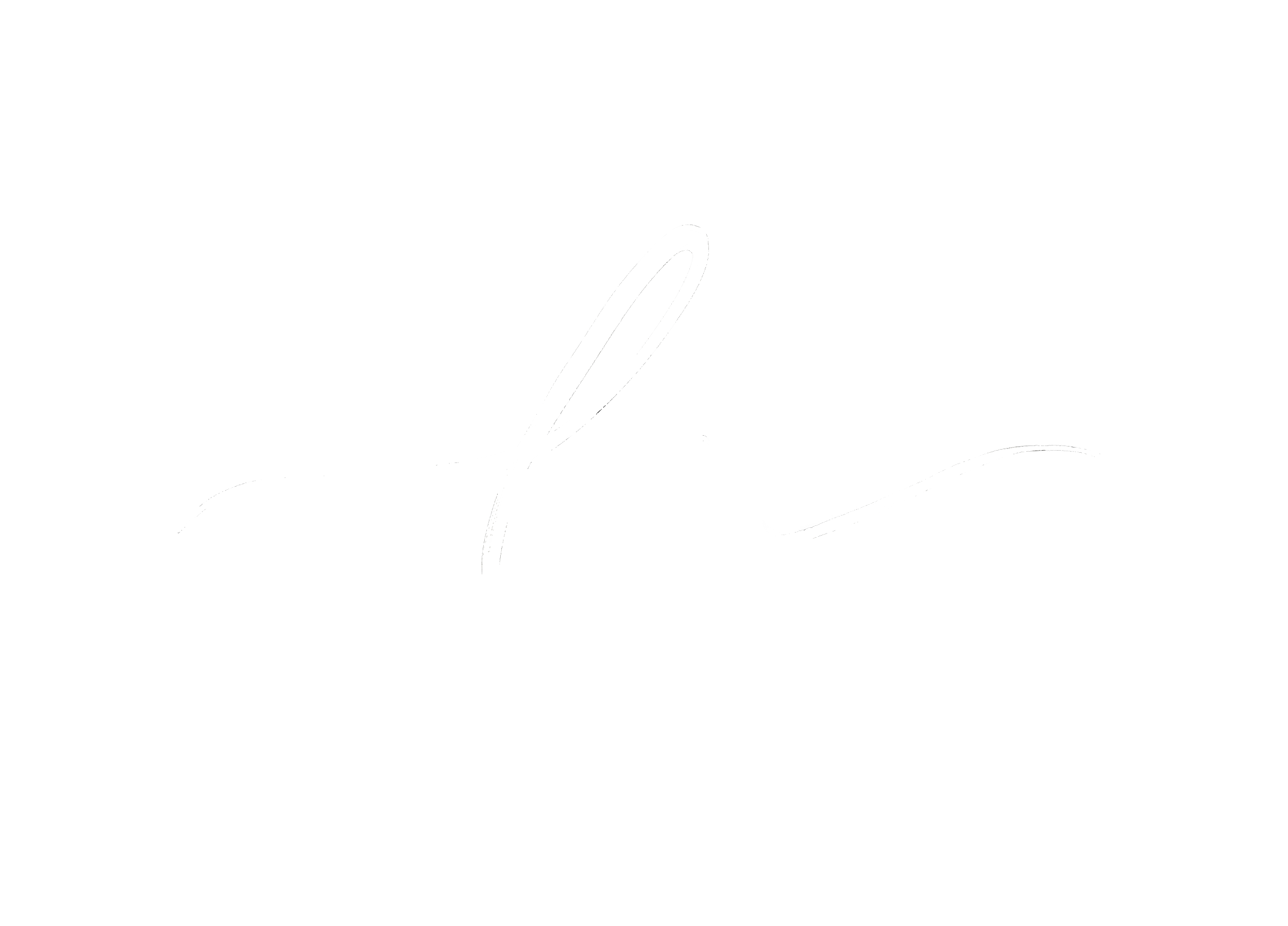 Fotograf Linn Nesse