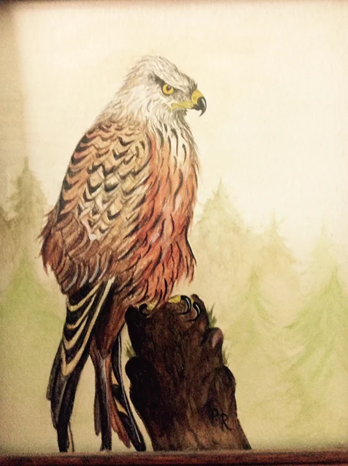 bird of prey.jpg