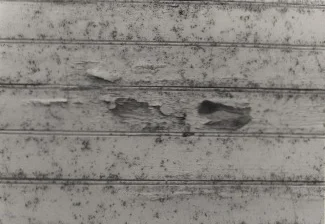 decay Scan.jpg