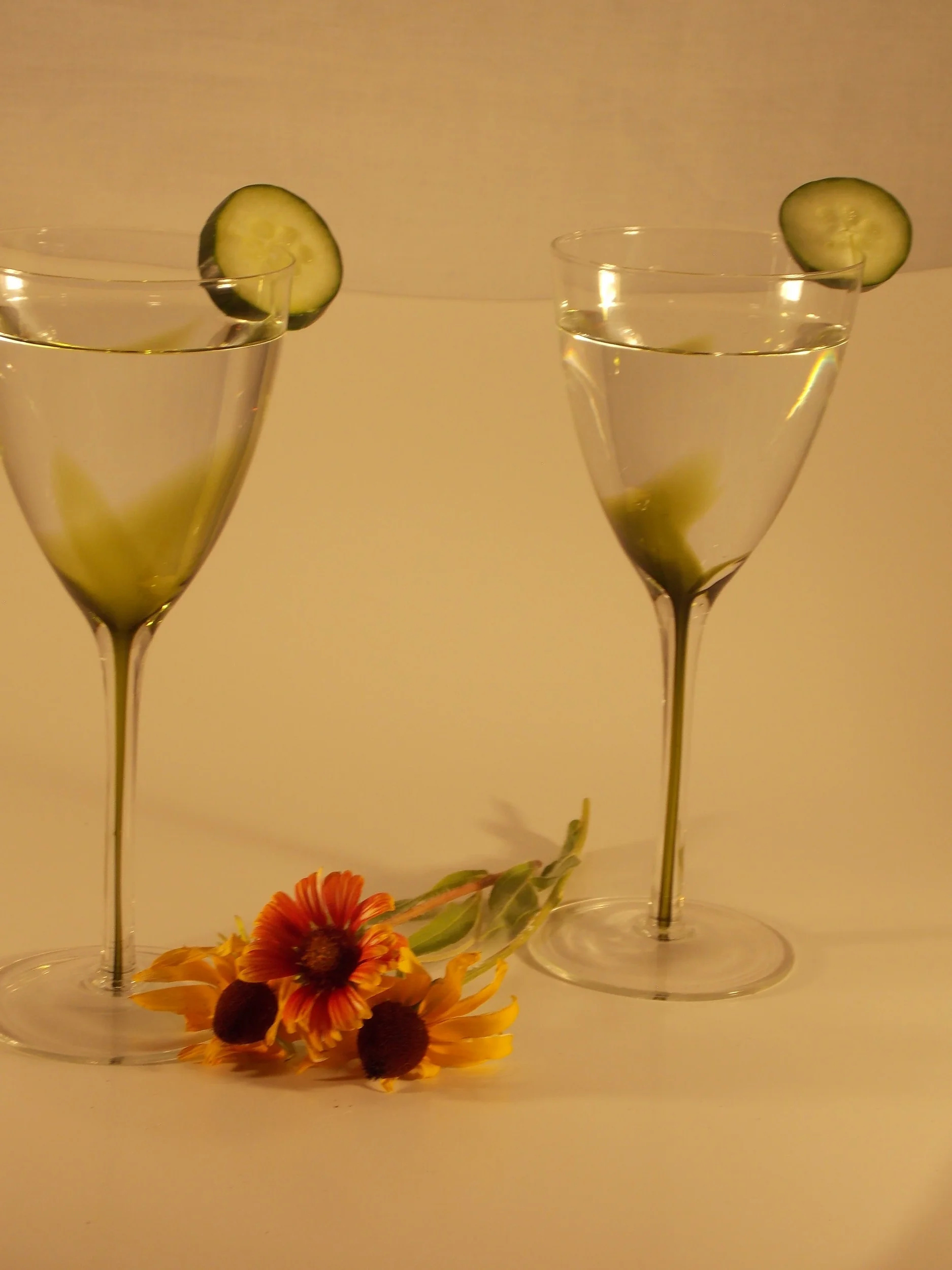 Salon D Green - Martinis for two.JPG