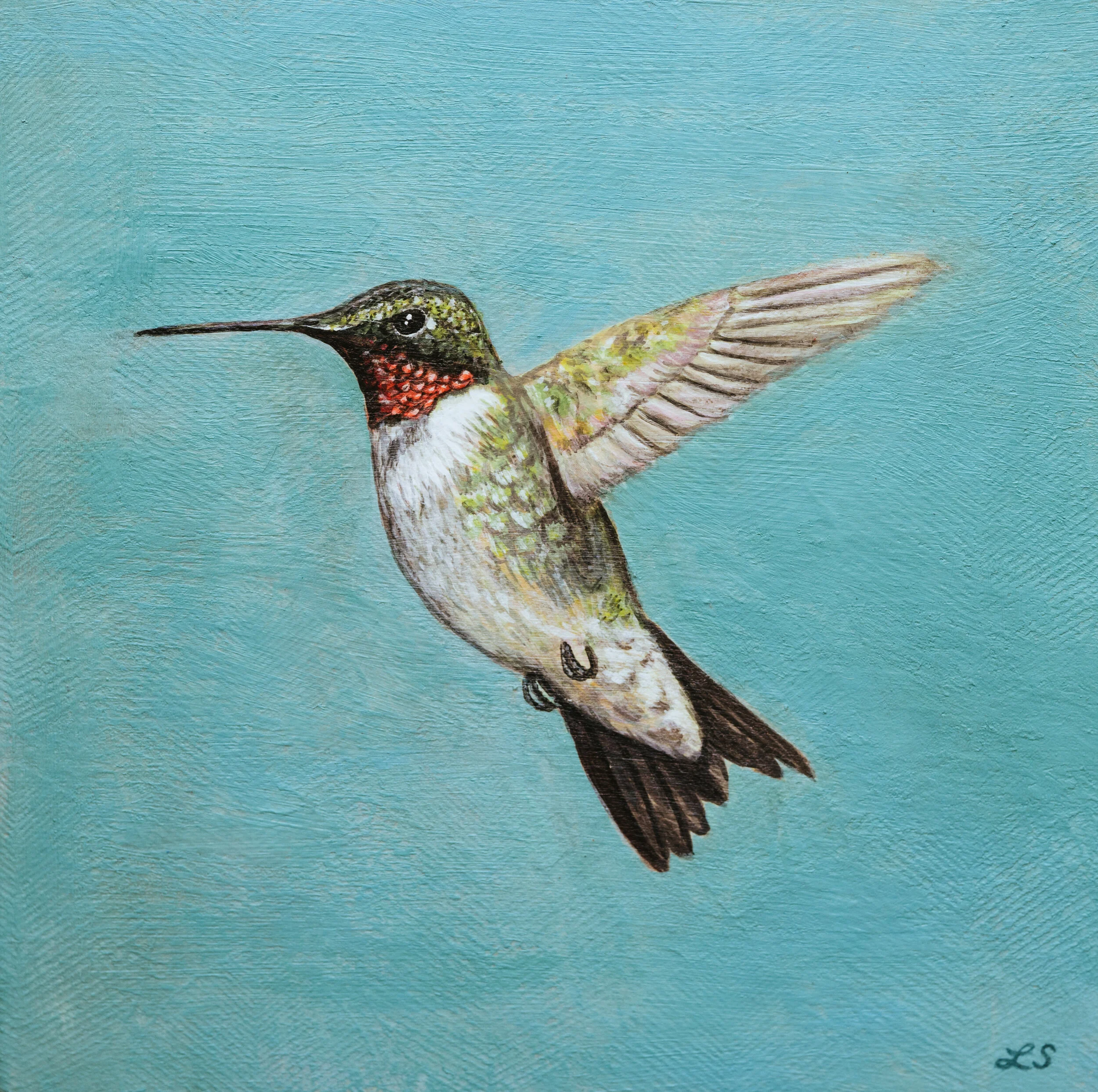 Ruby-Throated Hummingbird.jpg