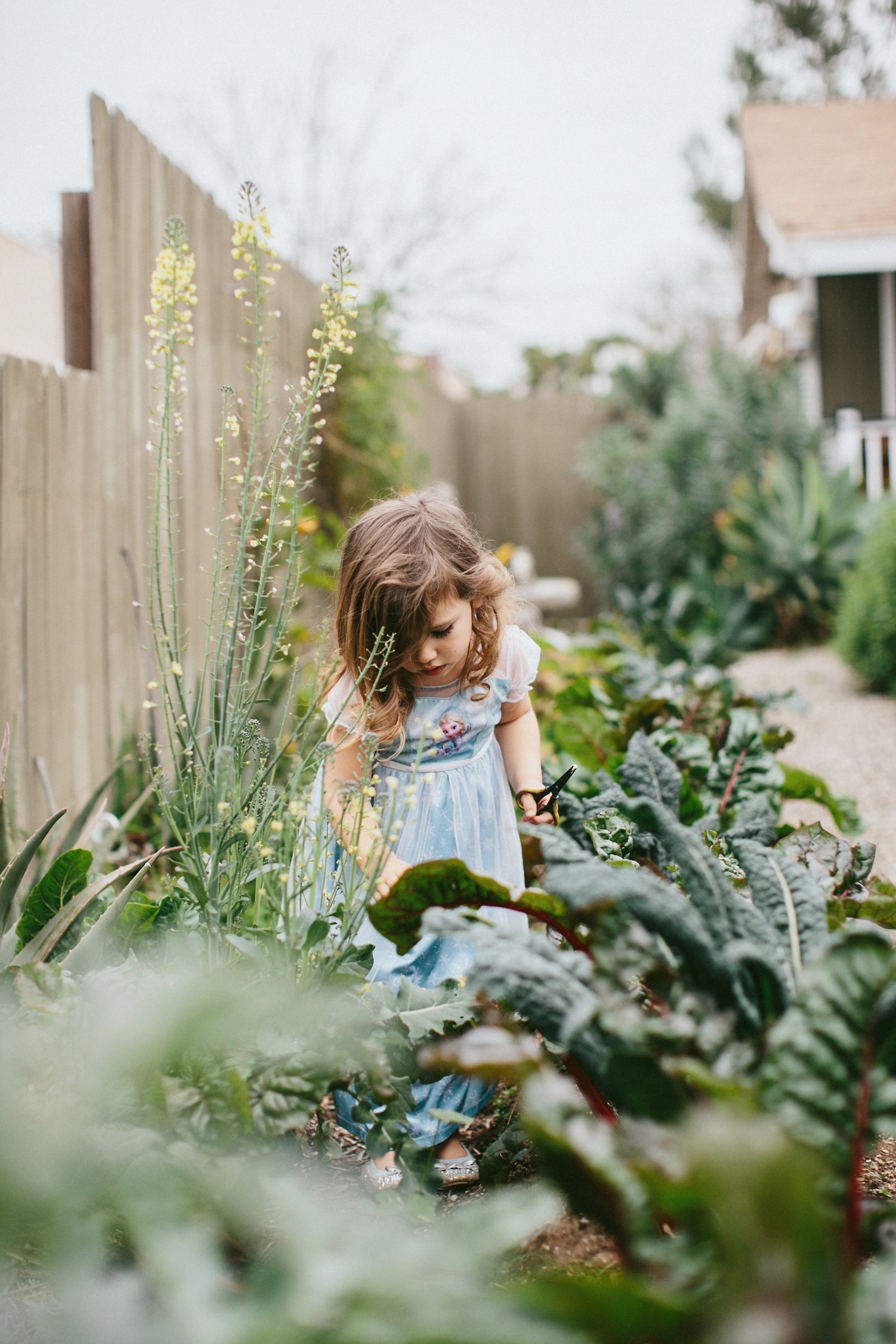garden-1.jpg