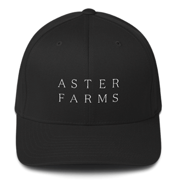 FLEX FIT HAT