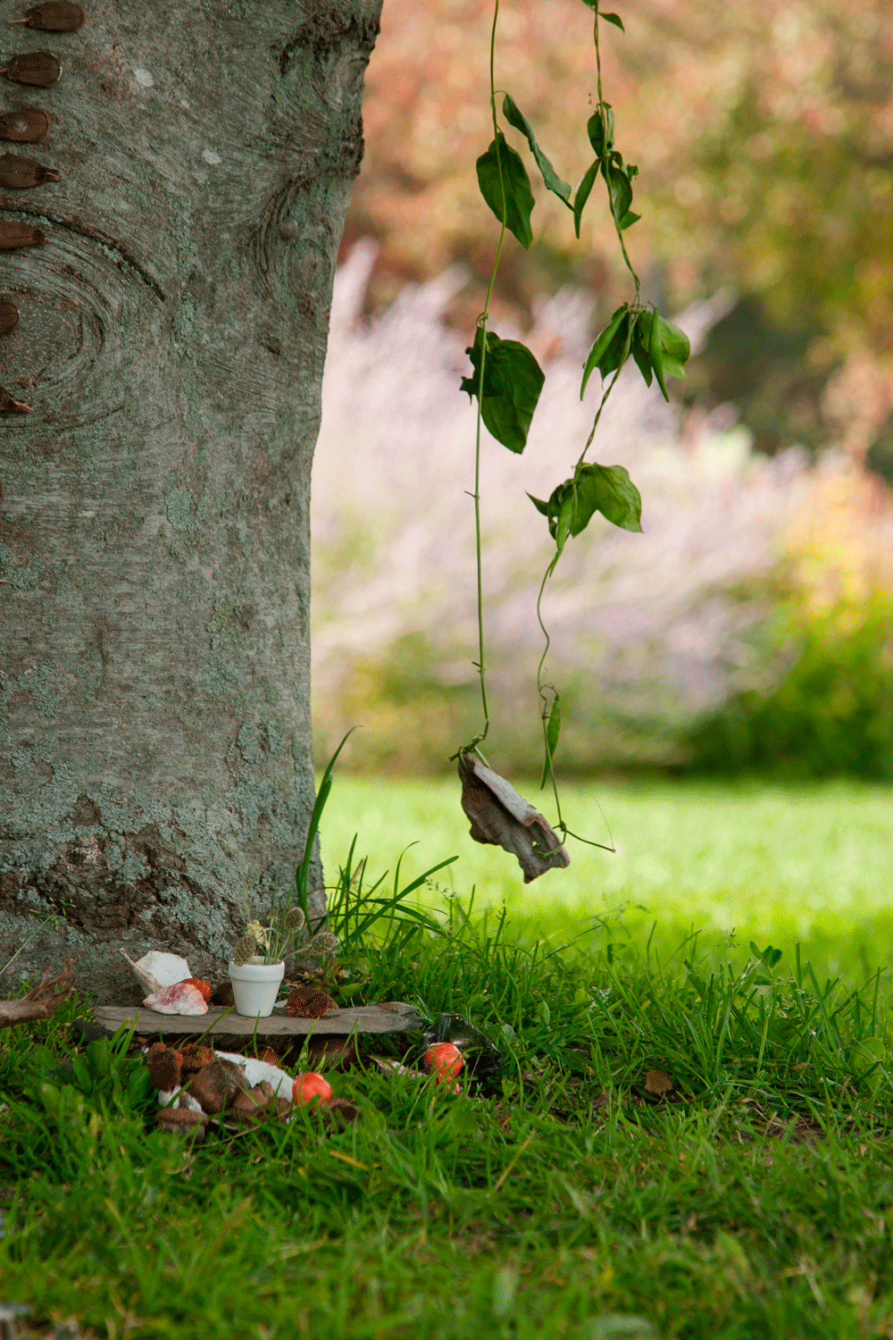 Fairy-on-a-Swing_Girl.gif