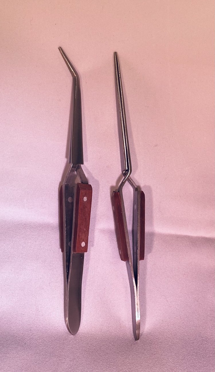 LOCKING TWEEZERS - set of 2 — White Mountain Apiary