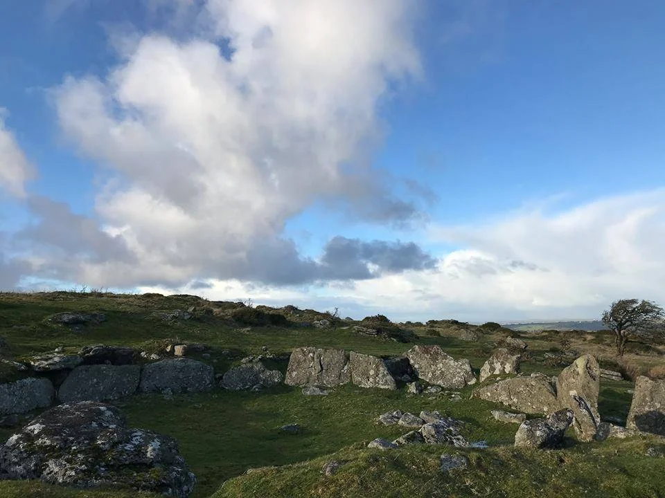 Dartmoor Walks & Experiences — Dartmoor's Daughter - Walks & Nature ...