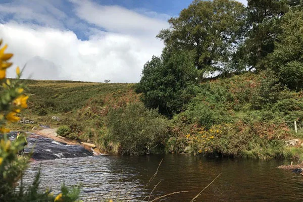 walk & wild swim DWF 2019.jpg
