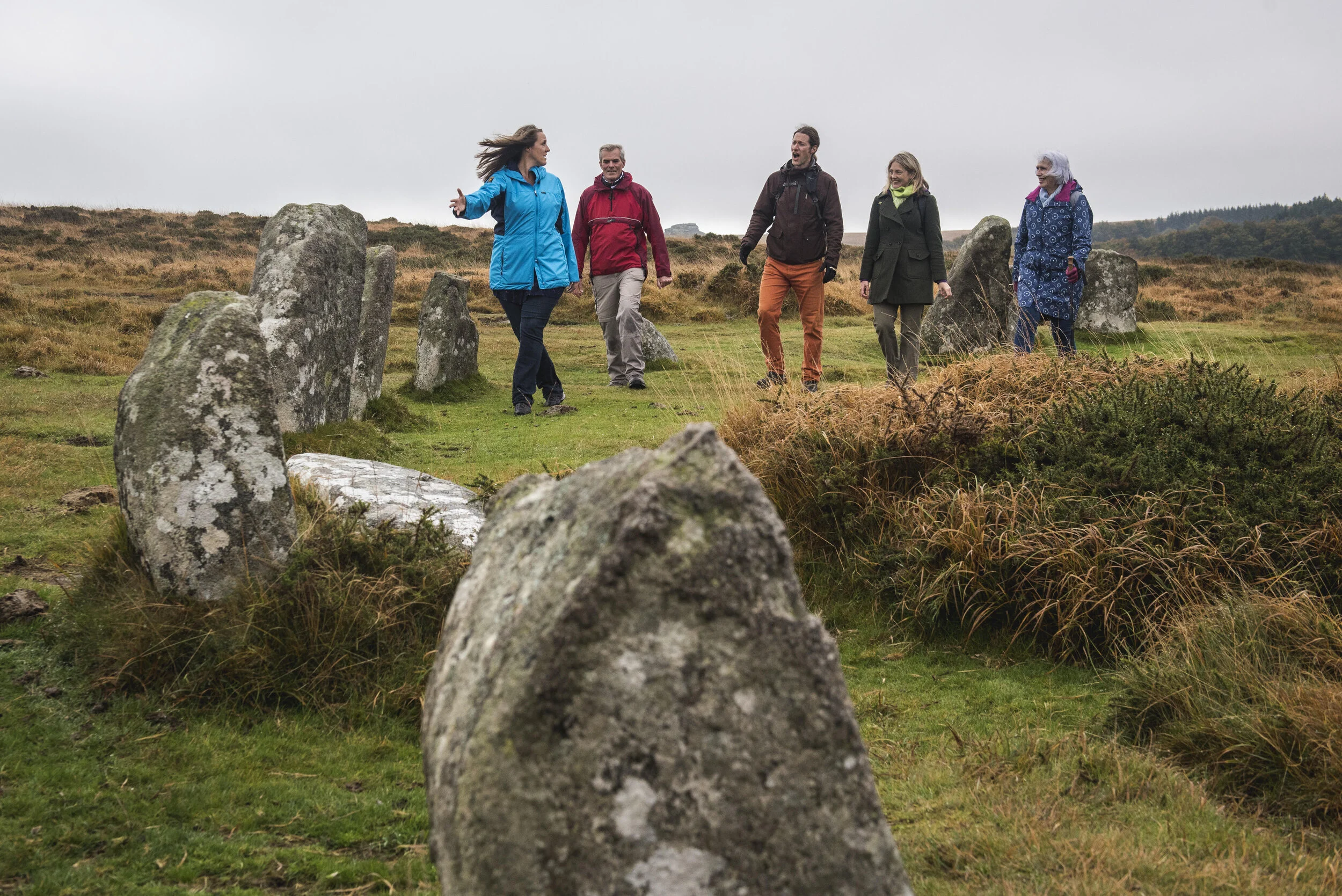 Dartmoor Walks & Experiences — Dartmoor's Daughter - Walks & Nature ...