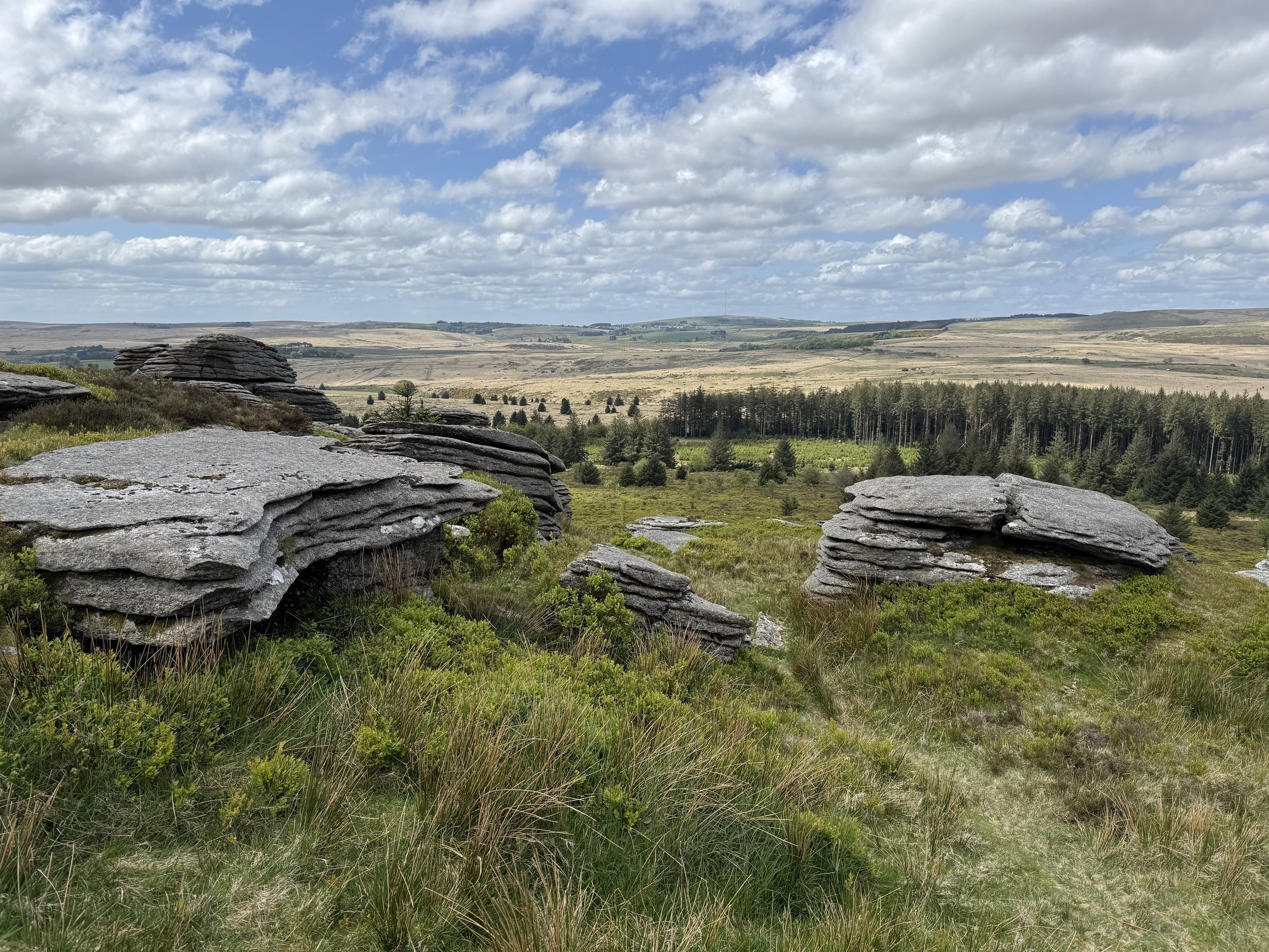 Celebrating Beltane Walk (organised for Dartmoor Tors Festival)