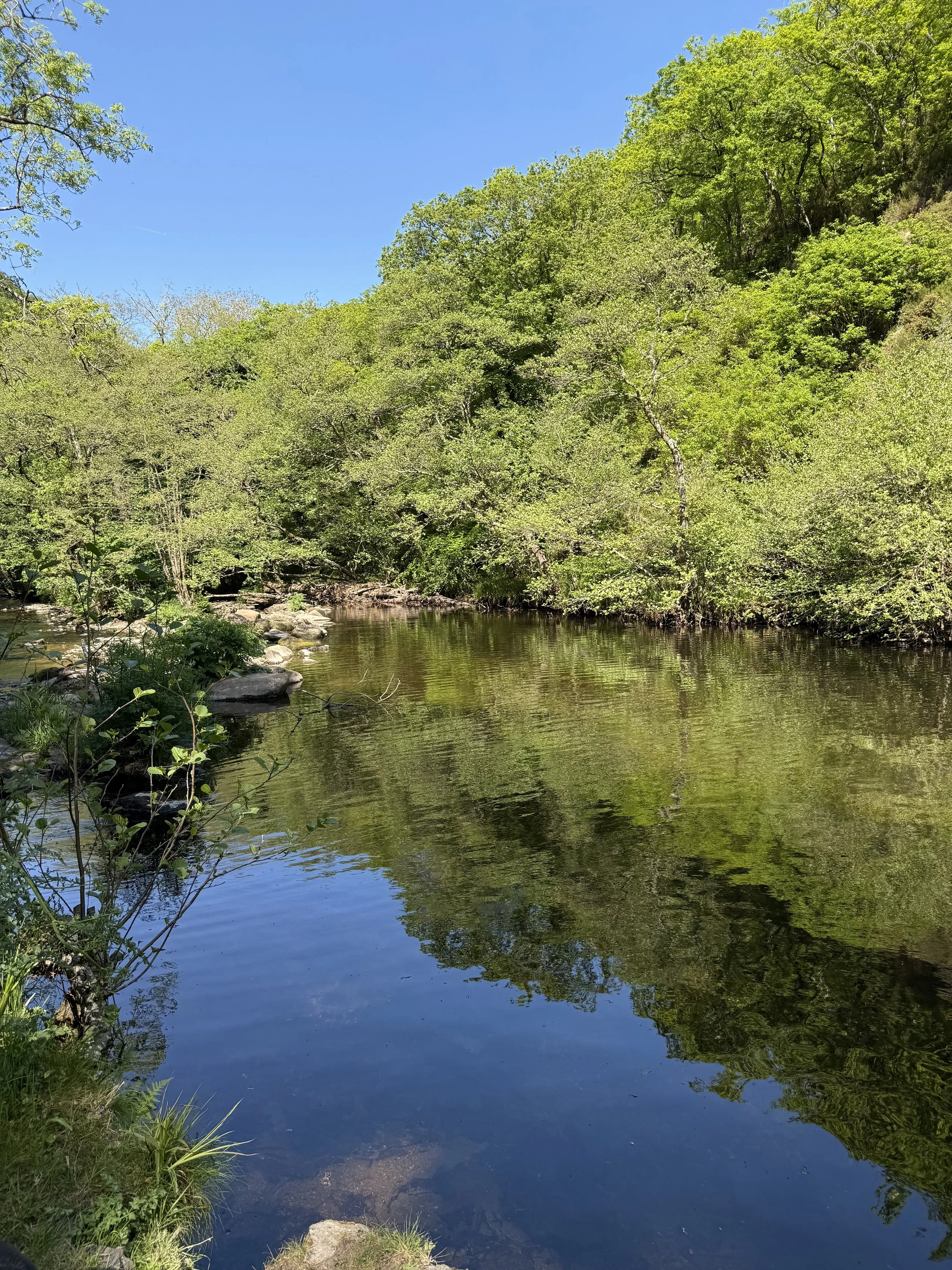 Riverside Woodland Walk &amp; Wood-Fired Sauna