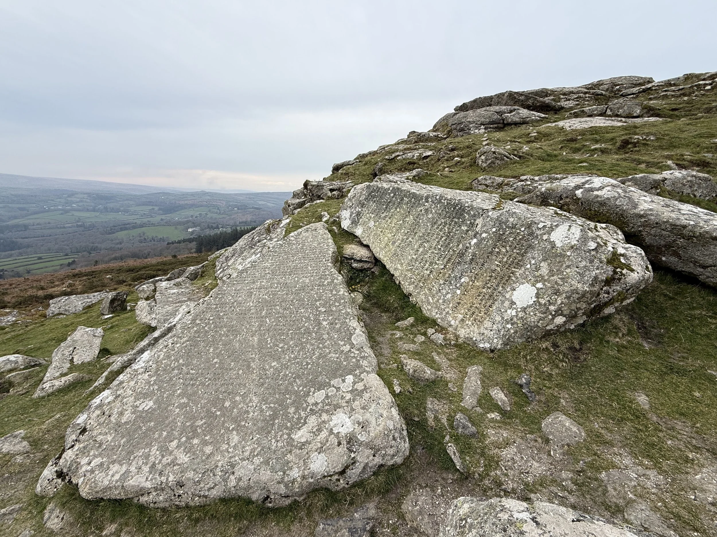 Gentle Moorland Stroll 