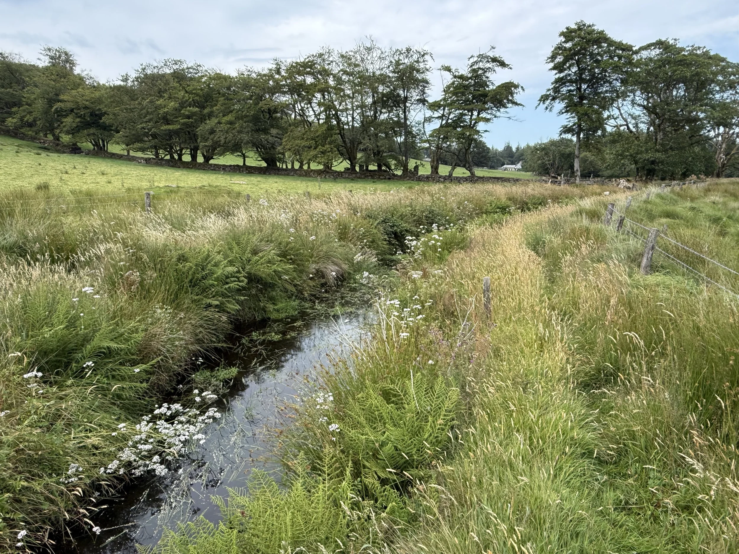 Tor Royal Farm Walk &amp; Ploughman’s Lunch (organised for Dartmoor Outdoors Festival)