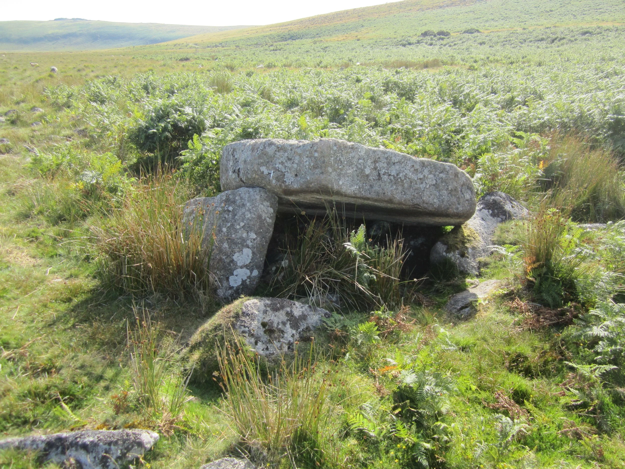 Dowsing Earth Energies - Guided Walk, Learn &amp; Practice