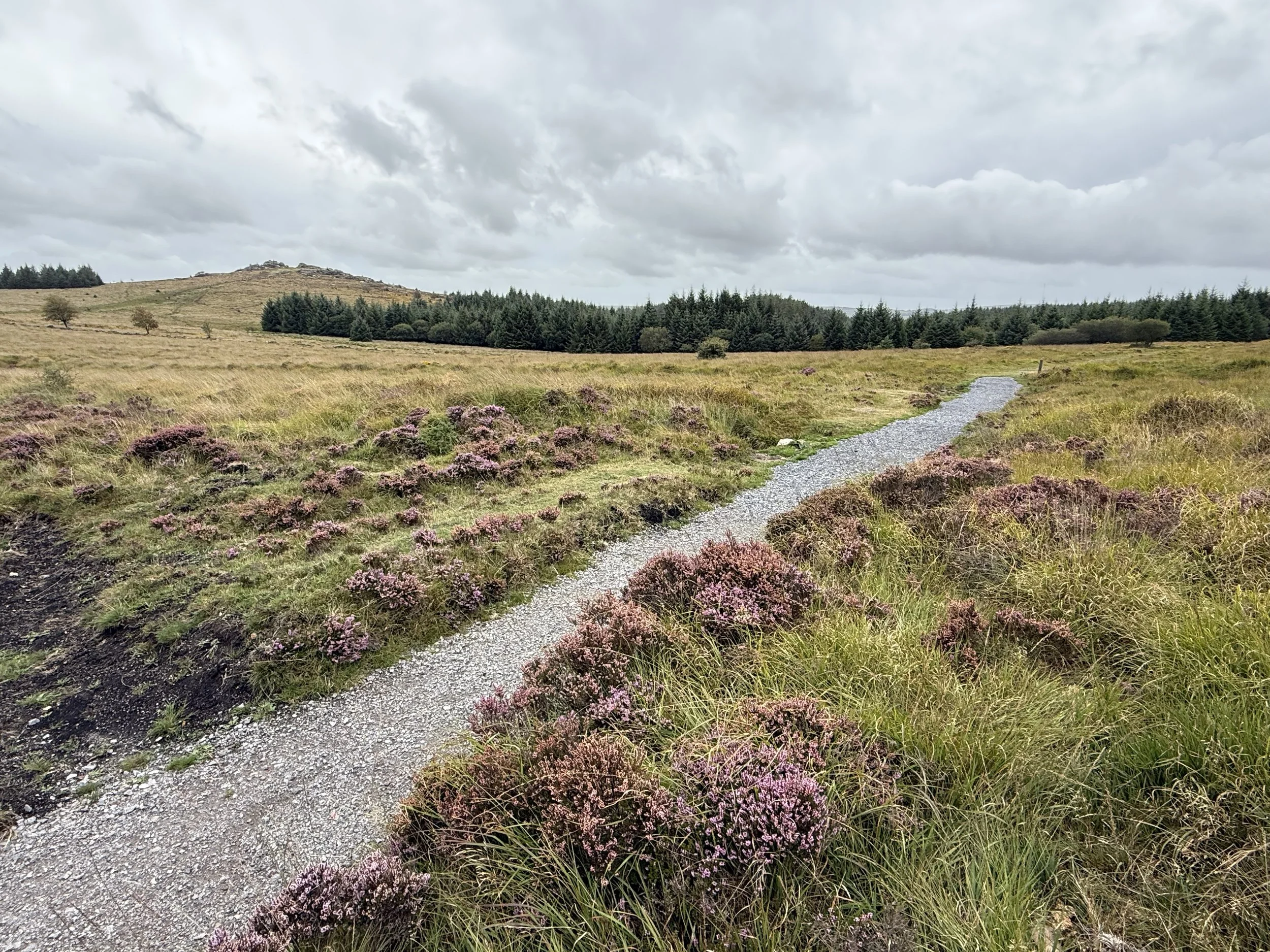 Gentle Dartmoor Stroll 