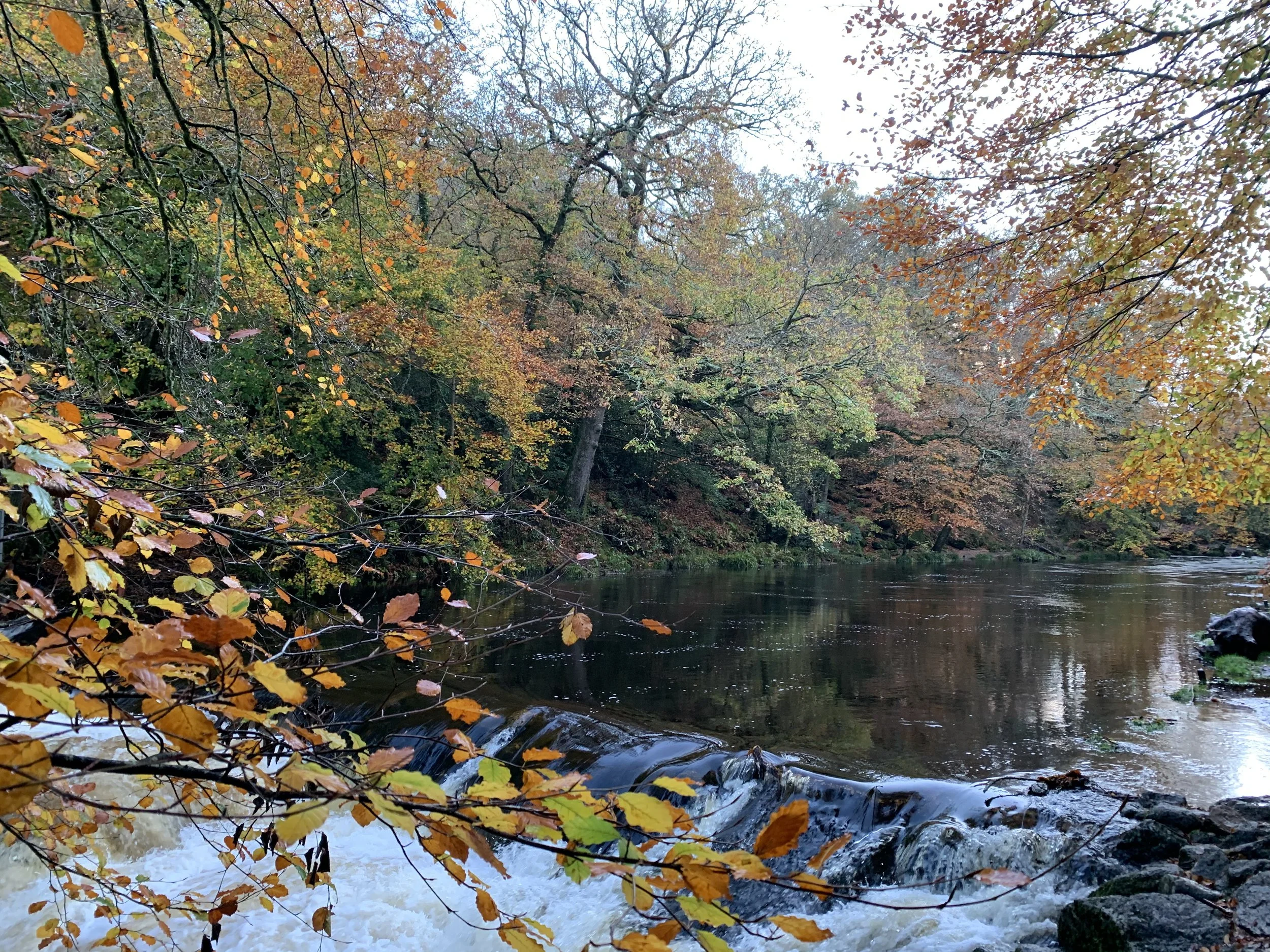 Iron Age Hillfort Hike &amp; Wilder Sauna