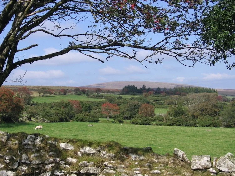 Cosdon from Scorhill