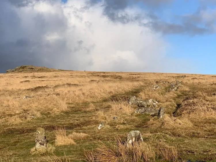 Stone Row on Dartmoor